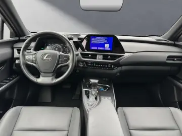 LEXUS UX 250h F-SPORT-D. 1.HD ALLW.REIF   15J-GARANTIE