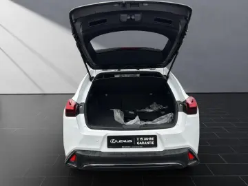 LEXUS UX 250h F-SPORT-D. 1.HD ALLW.REIF   15J-GARANTIE