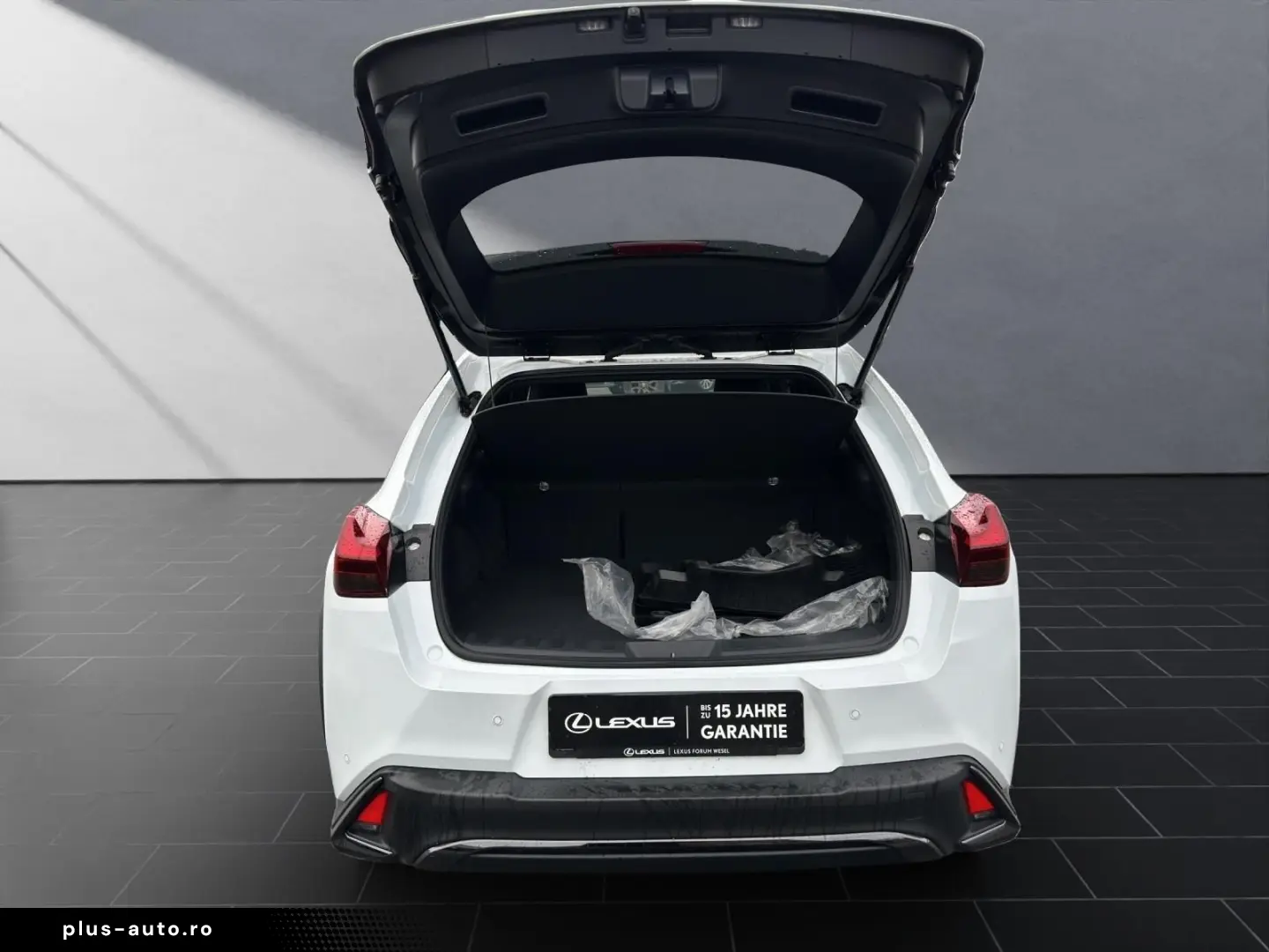 LEXUS UX 250h F-SPORT-D. 1.HD ALLW.REIF   15J-GARANTIE