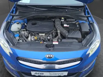 KIA XCeed 1.6 T DCT PLATINUM  GLASDACH LEDER