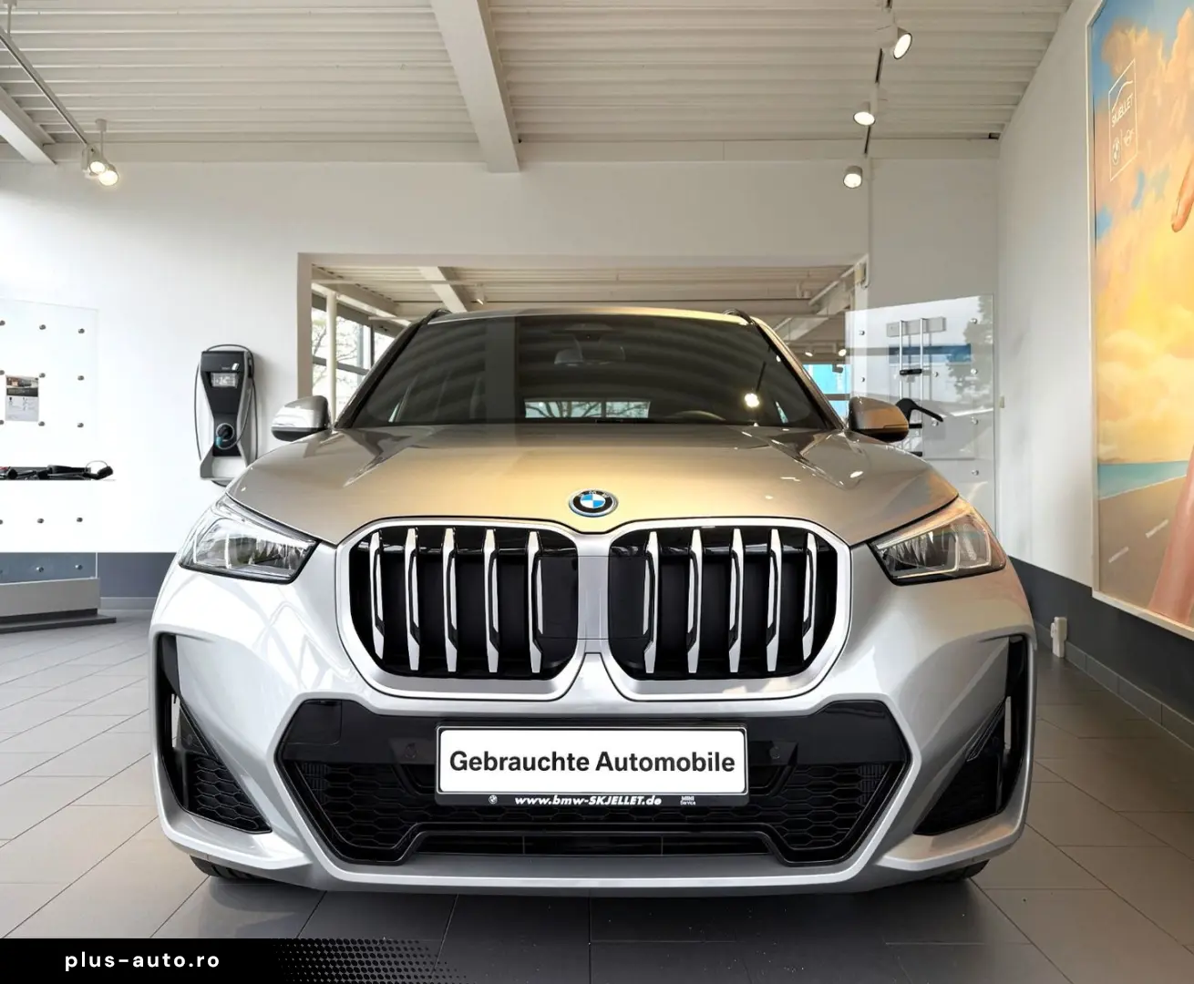 BMW X1 25 e xDr M SPORT LEDer AL SPUR KAM STANDKLIMA