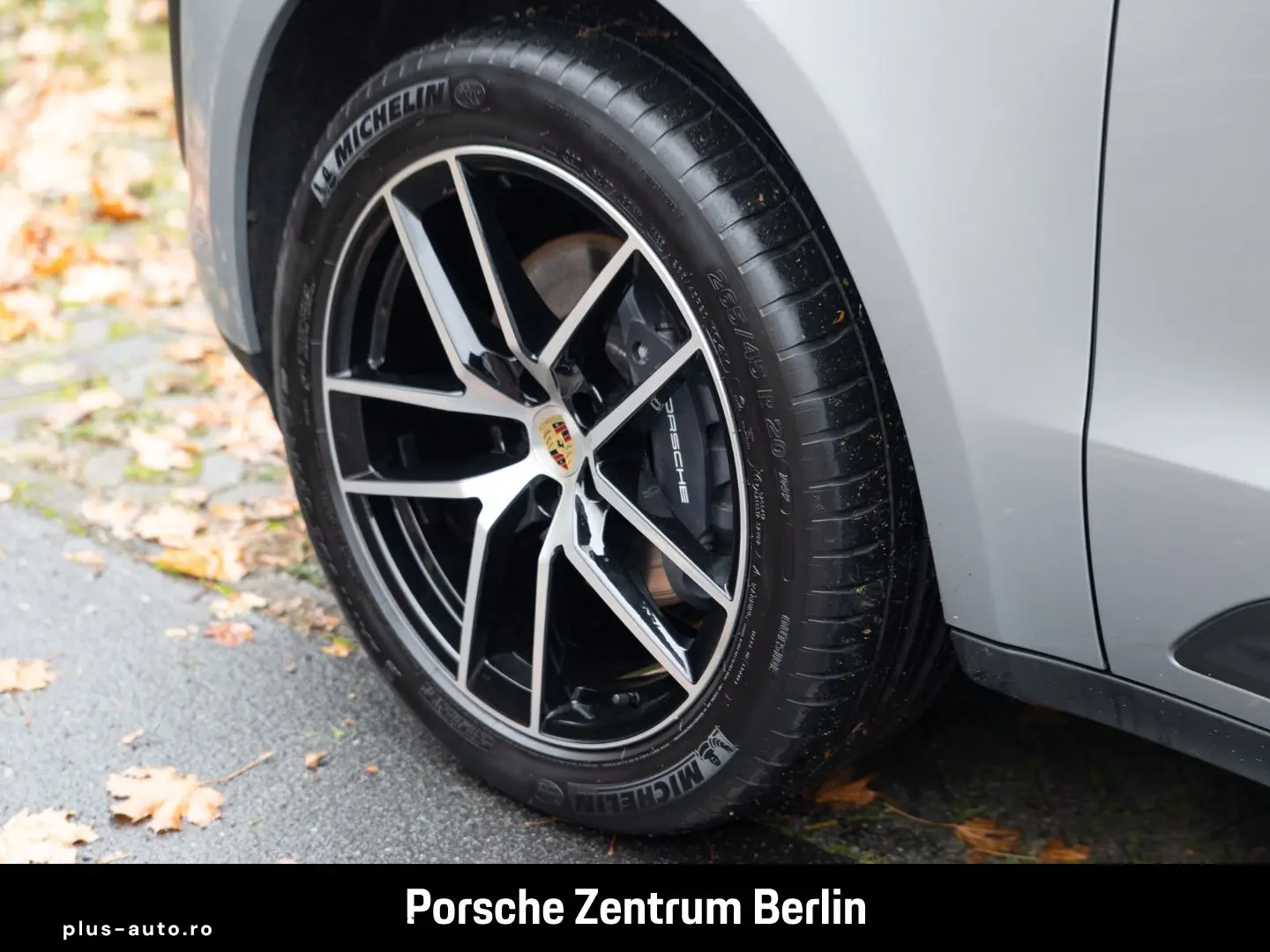 PORSCHE Macan 20-Zoll Pano