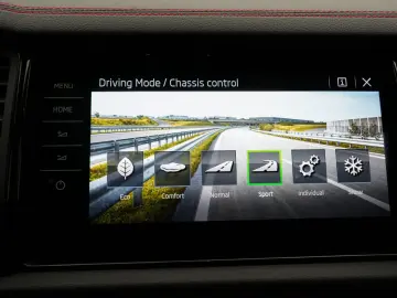 SKODA Kodiaq RS 4x4 DSG LEDER STANDHZ PANO AHK DCC LED