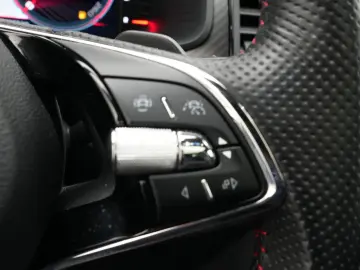SKODA Kodiaq RS 4x4 DSG LEDER STANDHZ PANO AHK DCC LED