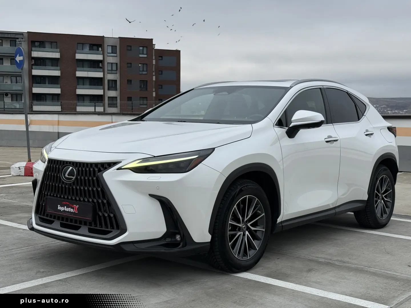Lexus NX 450h  E-FOUR Luxury-Paket 2023 - Plug In Hybrid AWD