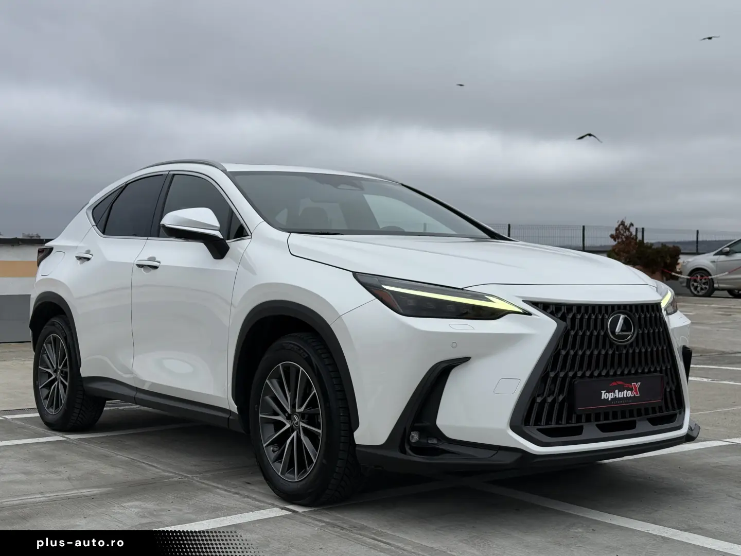 Lexus NX 450h  E-FOUR Luxury-Paket 2023 - Plug In Hybrid AWD