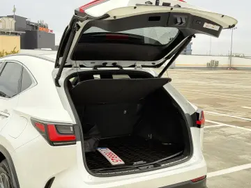 Lexus NX 450h  E-FOUR Luxury-Paket 2023 - Plug In Hybrid AWD