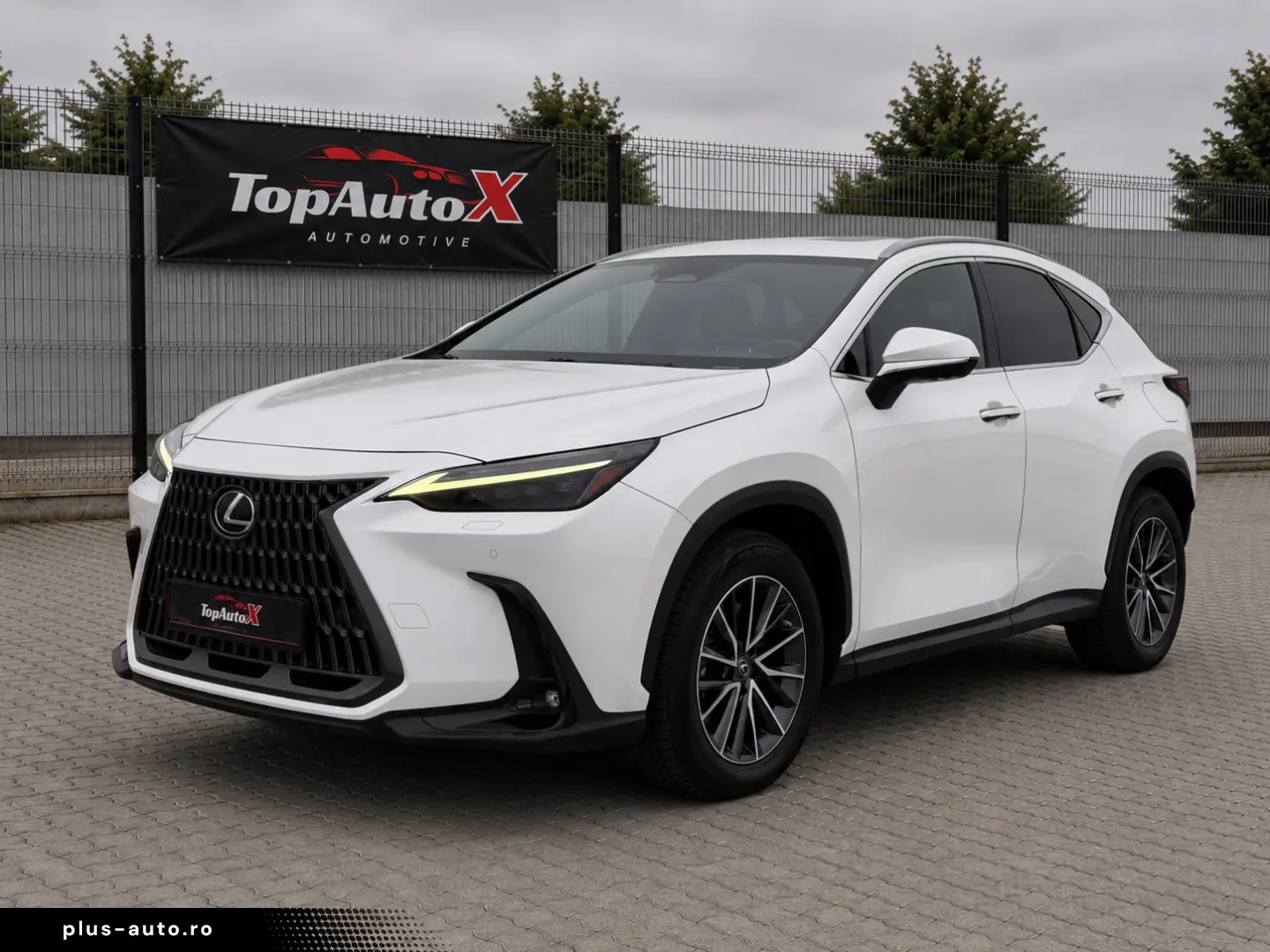 Lexus NX 450h  E-FOUR Luxury-Paket 2023 - Plug In Hybrid AWD