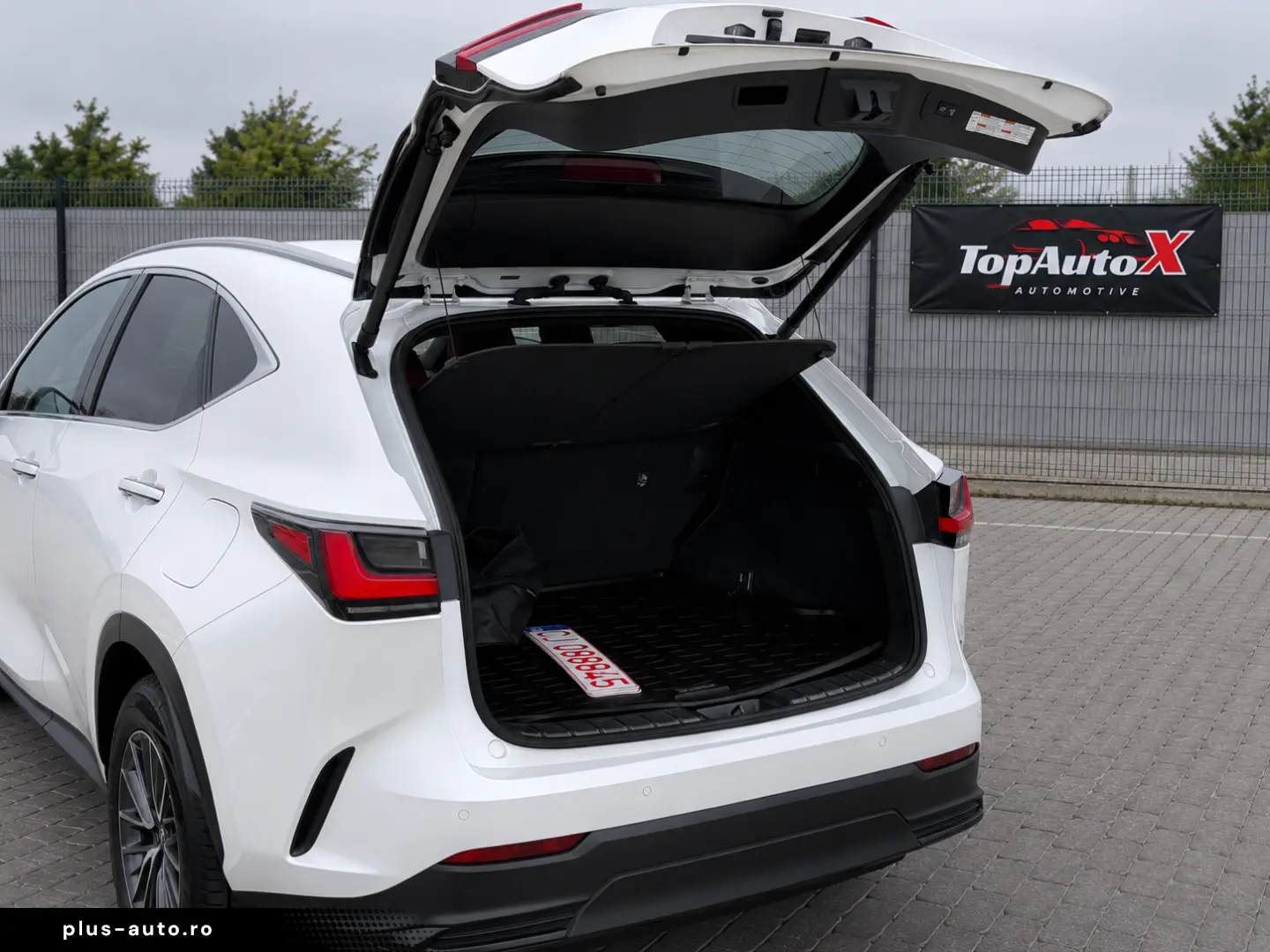 Lexus NX 450h  E-FOUR Luxury-Paket 2023 - Plug In Hybrid AWD