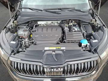 SKODA Kodiaq RS 2.0 TSI 4x4 DSG NAVI STANDHZ AHK SD
