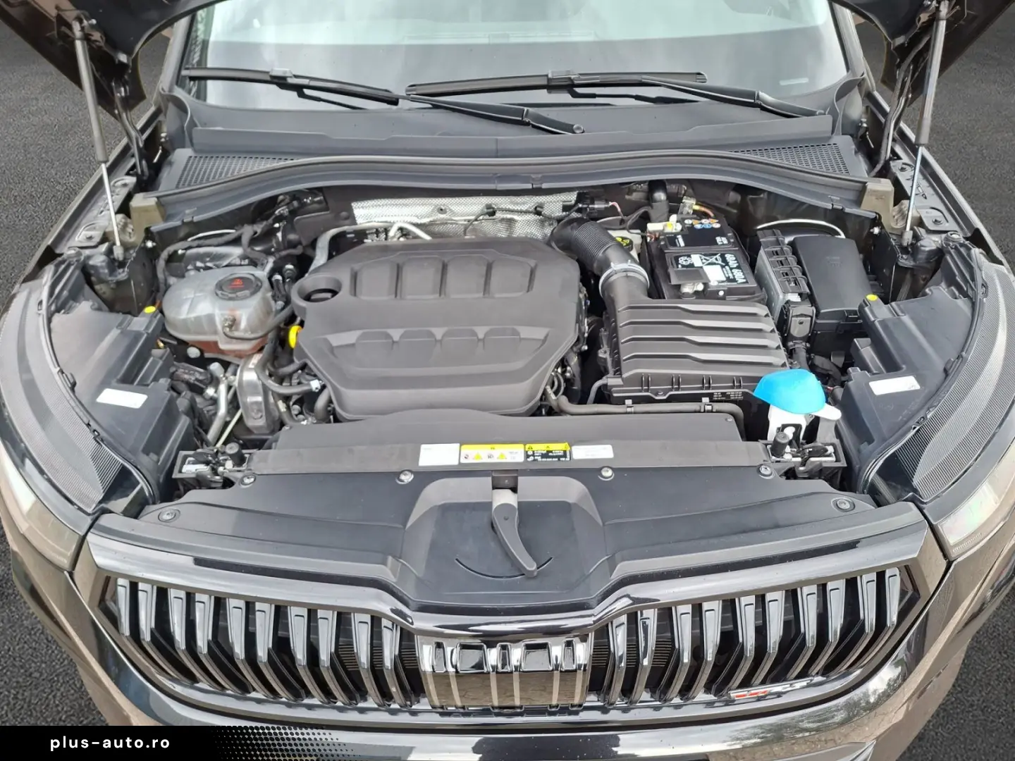 SKODA Kodiaq RS 2.0 TSI 4x4 DSG NAVI STANDHZ AHK SD