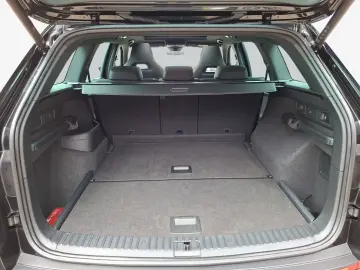 SKODA Kodiaq RS 2.0 TSI 4x4 DSG NAVI STANDHZ AHK SD