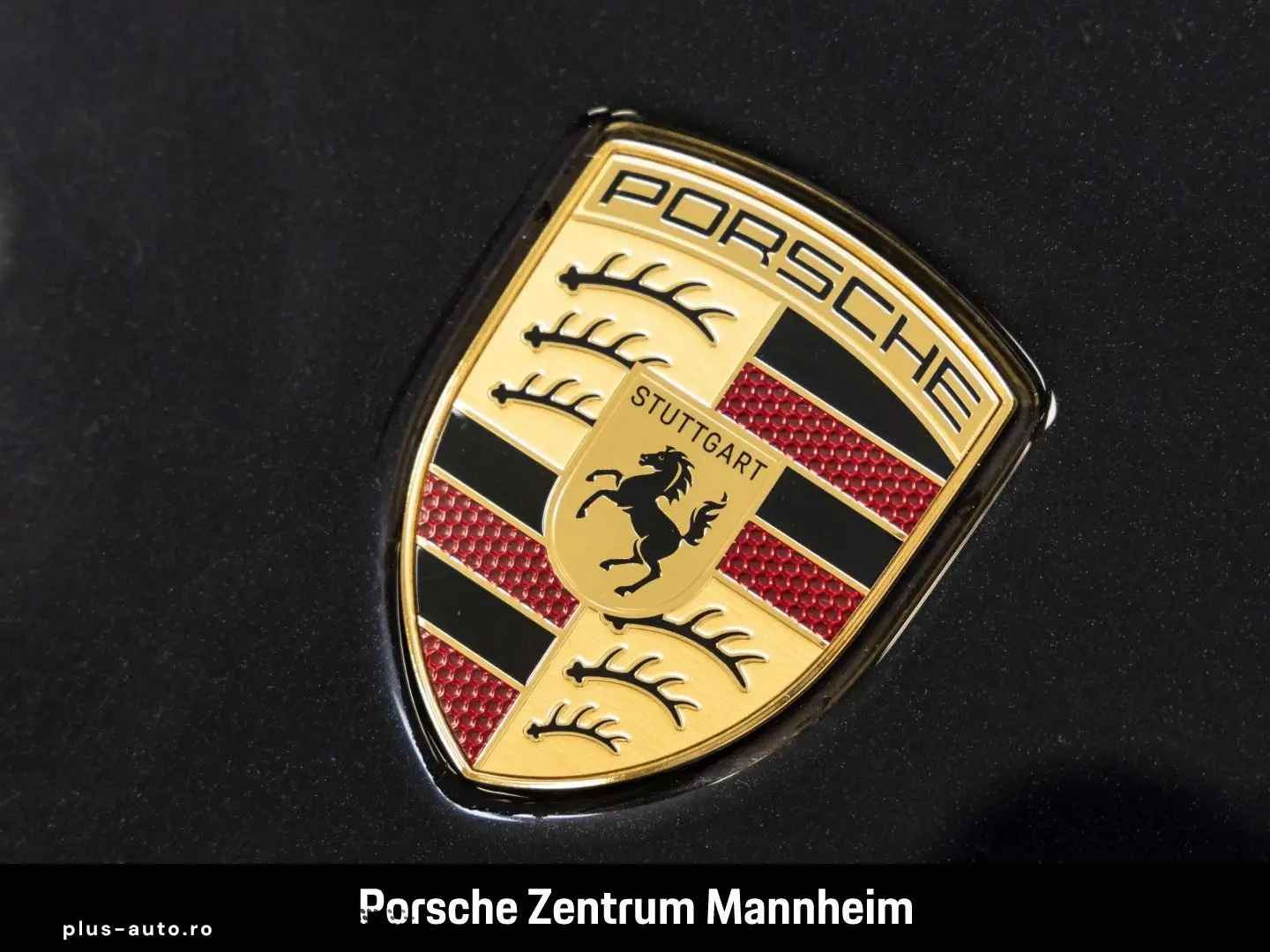 PORSCHE 992 -2 Carrera Cabrio Sportabgas Sitzbelüftung B