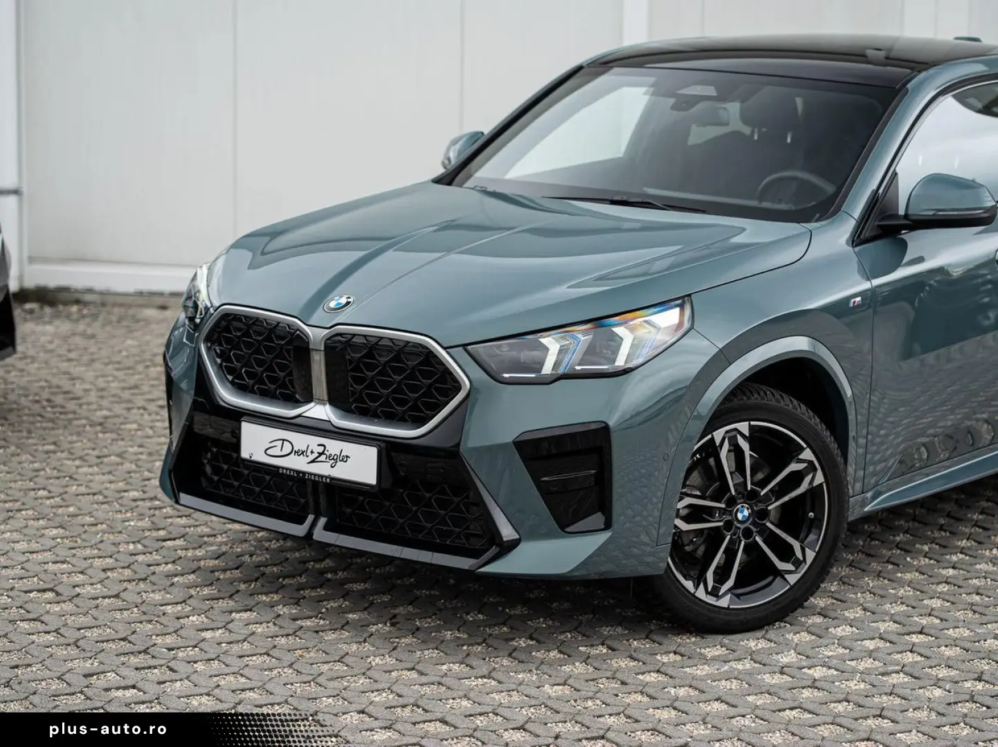 BMW X2 sDrive20i M-Sport AdLED AHK Alarm PANO KoZg