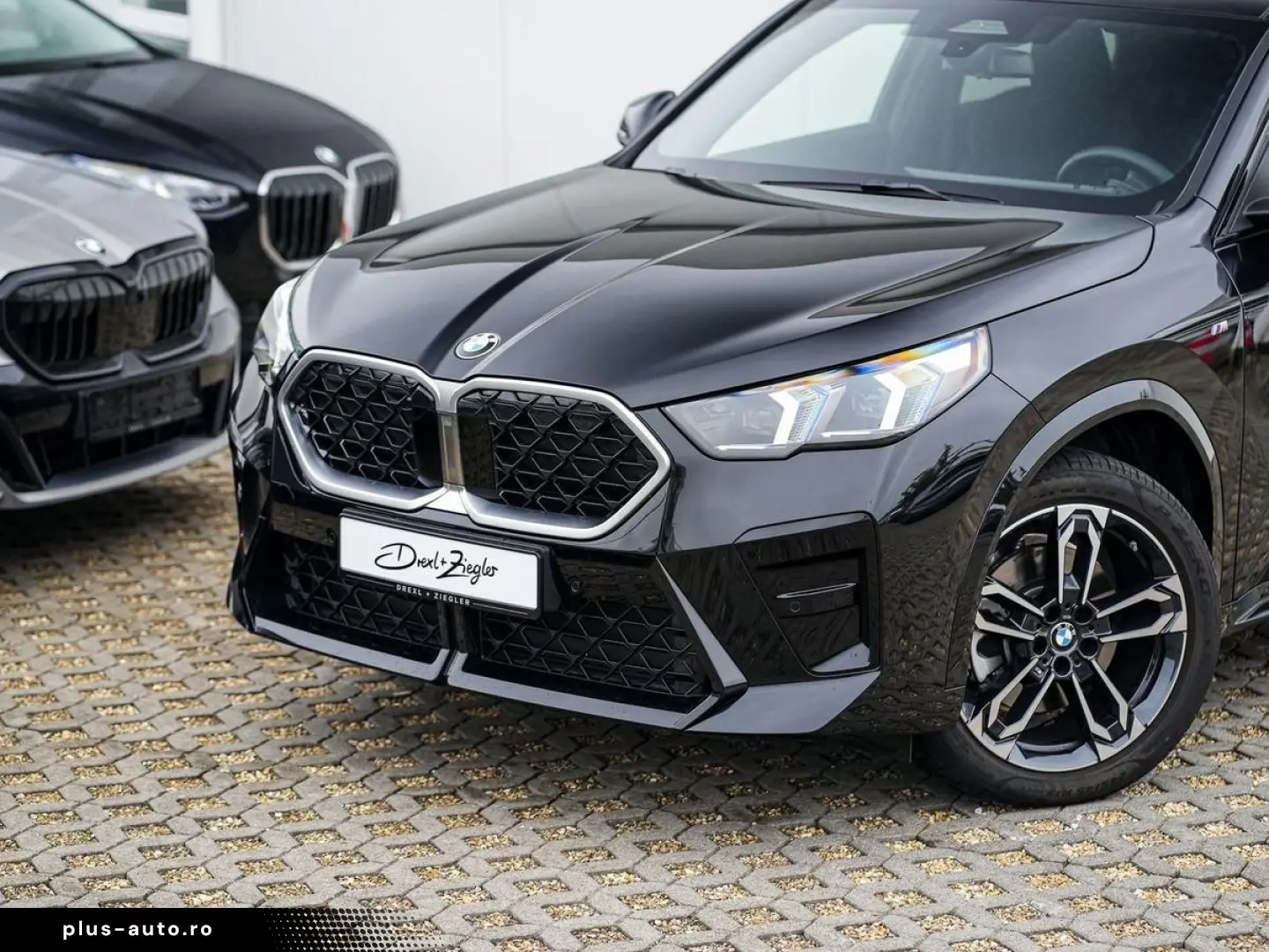 BMW X2 sDrive20i M-Sport AdLED AHK Alarm PANO KoZg