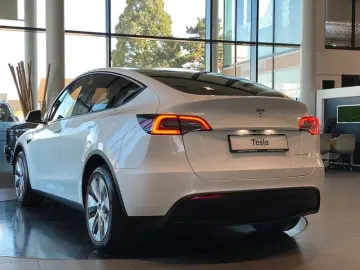 TESLA Model Y AWD Long Range Dual Motor Panorama LED