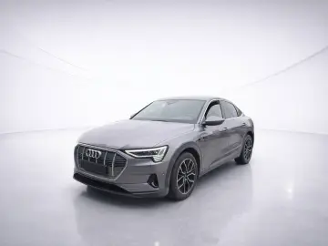 AUDI e-tron 55 quattro S Line 95kWh RFK ACC SHZ Luft