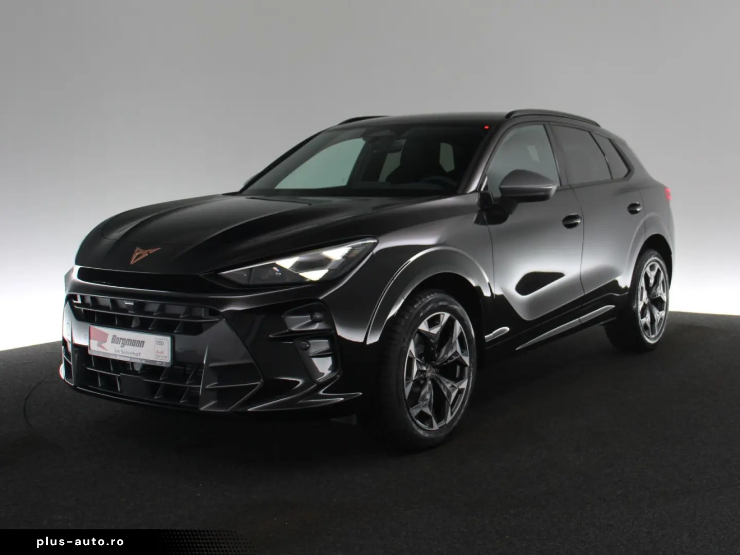 CUPRA Terramar TSI 2.0 TSI 4Drive VZ MATRIX-LED ACC