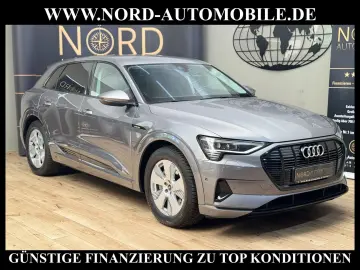 AUDI e-tron 55 QU.Advanced Kamera ACC 21 B&O