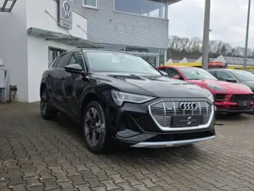 AUDI e-tron 55 quattro S line Navi Matrix Kamera Lede