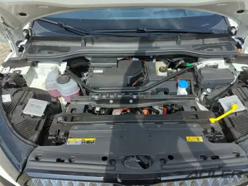 SKODA Enyaq Coupe RS Navi Canton Travel Assist Crystal