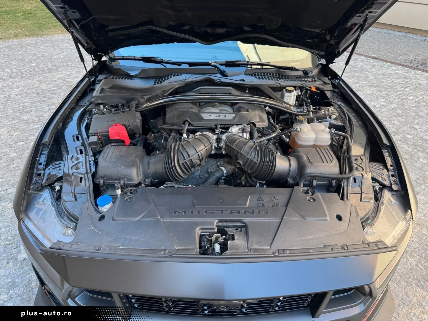 FORD Mustang Dark Horse 5.0 V8 500 HP (USA version)