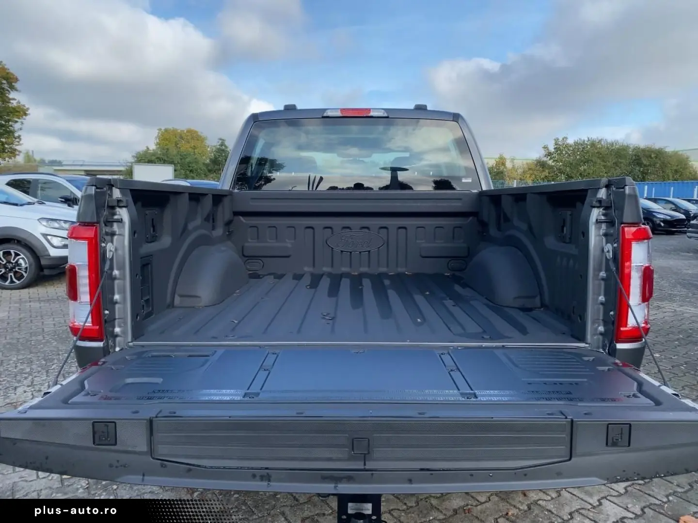 FORD F-150 Limited 3.5  LaunchEdition AHK Pano 360