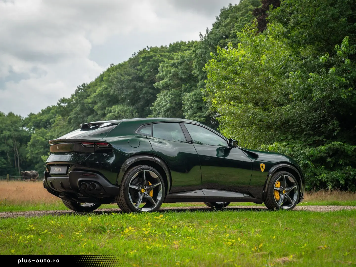 FERRARI Purosangue 6.5 V12   Verde Zeltweg   Airbrushed