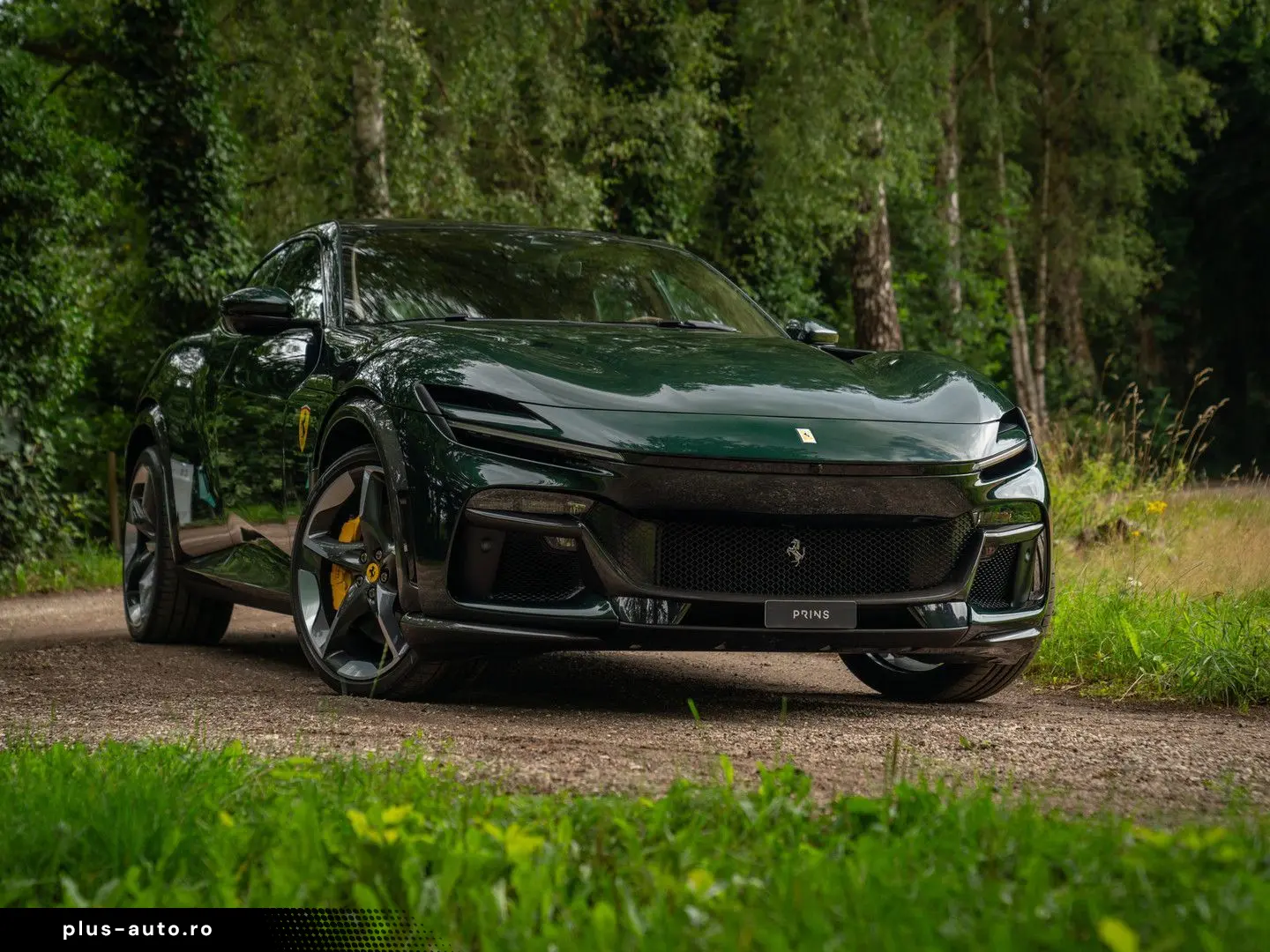 FERRARI Purosangue 6.5 V12   Verde Zeltweg   Airbrushed