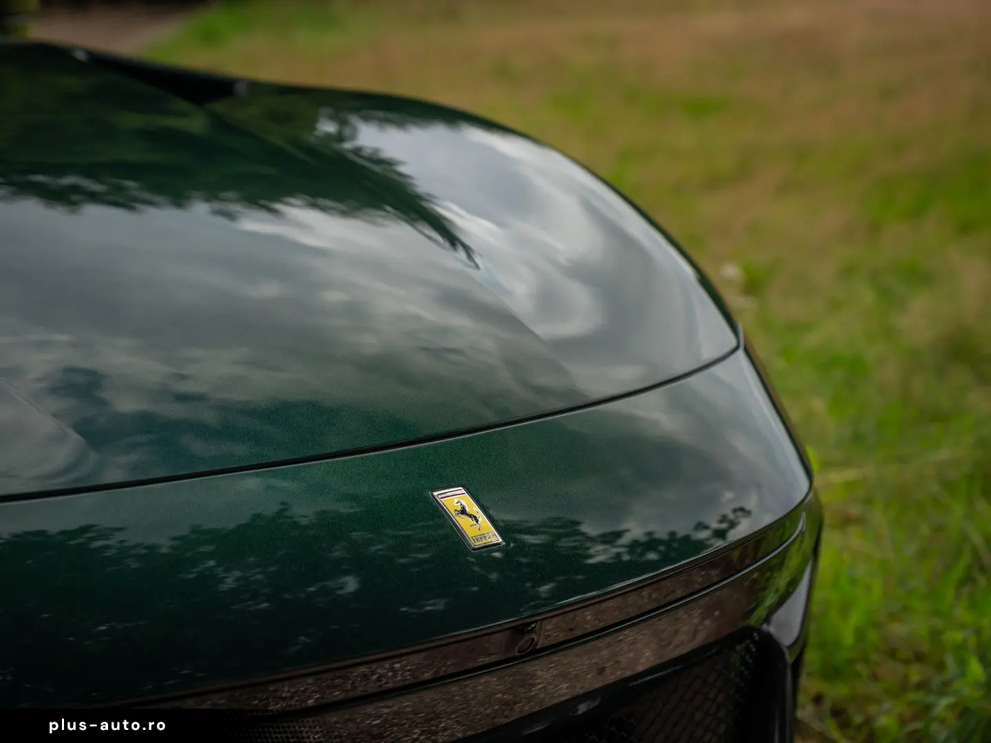 FERRARI Purosangue 6.5 V12   Verde Zeltweg   Airbrushed