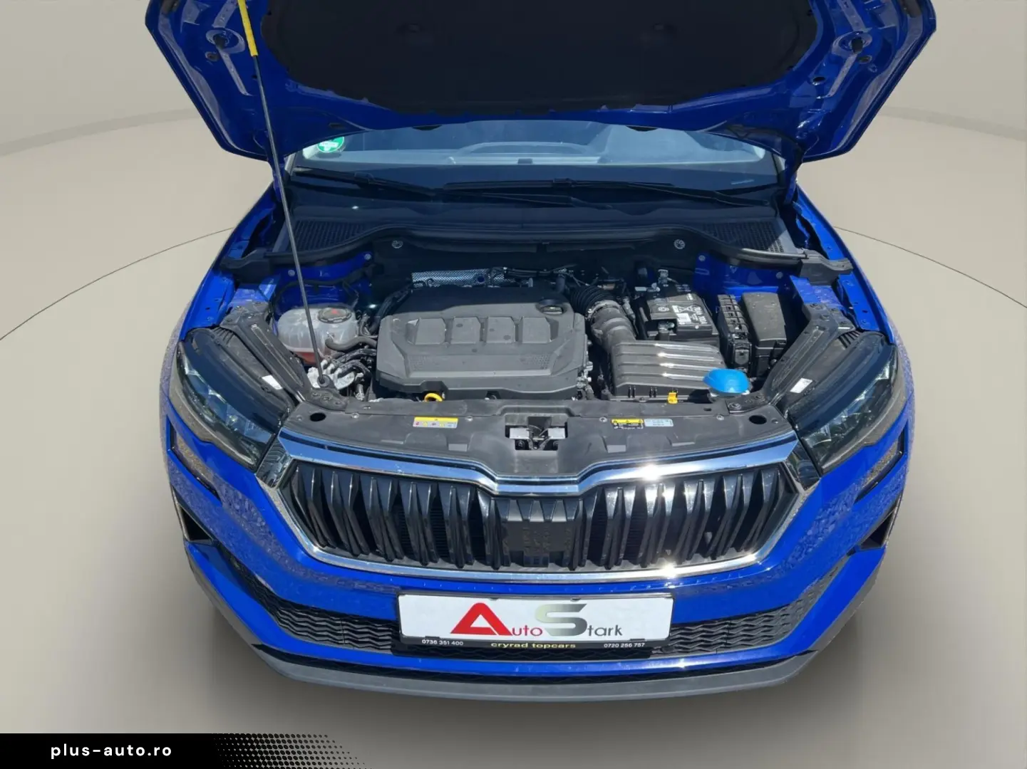 Skoda Karoq 2.0 TDI 4X4 DSG Style