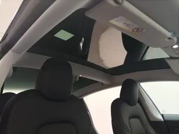 TESLA Model 3 Navi CAM Glasdach ACC