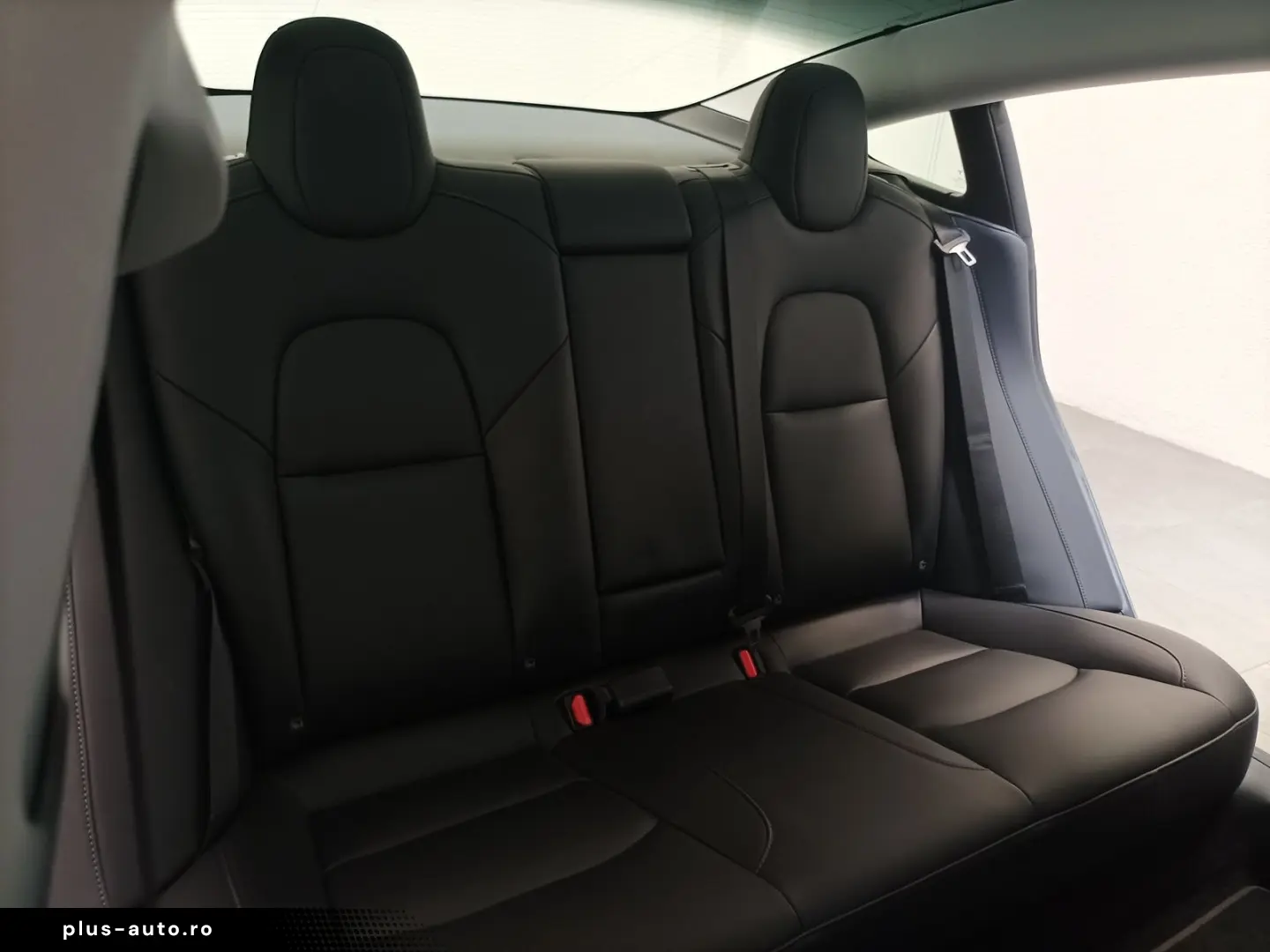 TESLA Model 3 Navi CAM Glasdach ACC