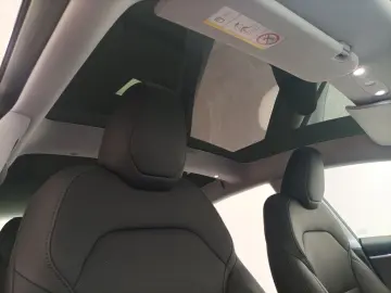 TESLA Model 3 Navi Glasdach CAM WäPu
