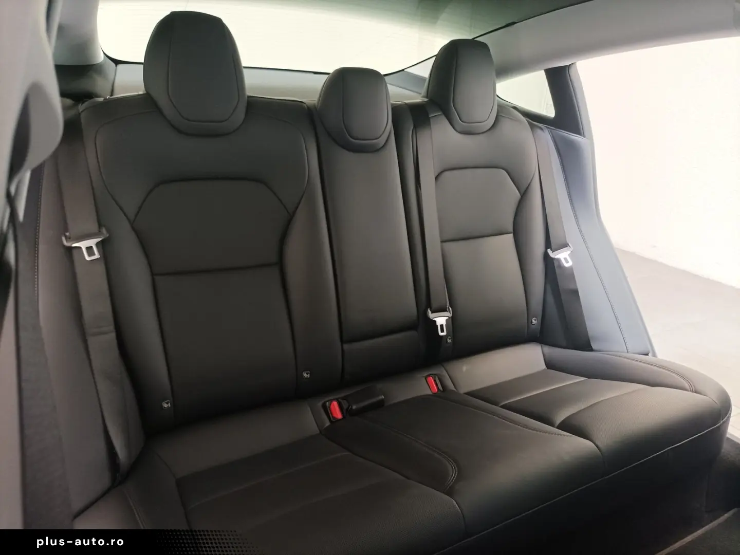 TESLA Model 3 Navi Glasdach CAM WäPu