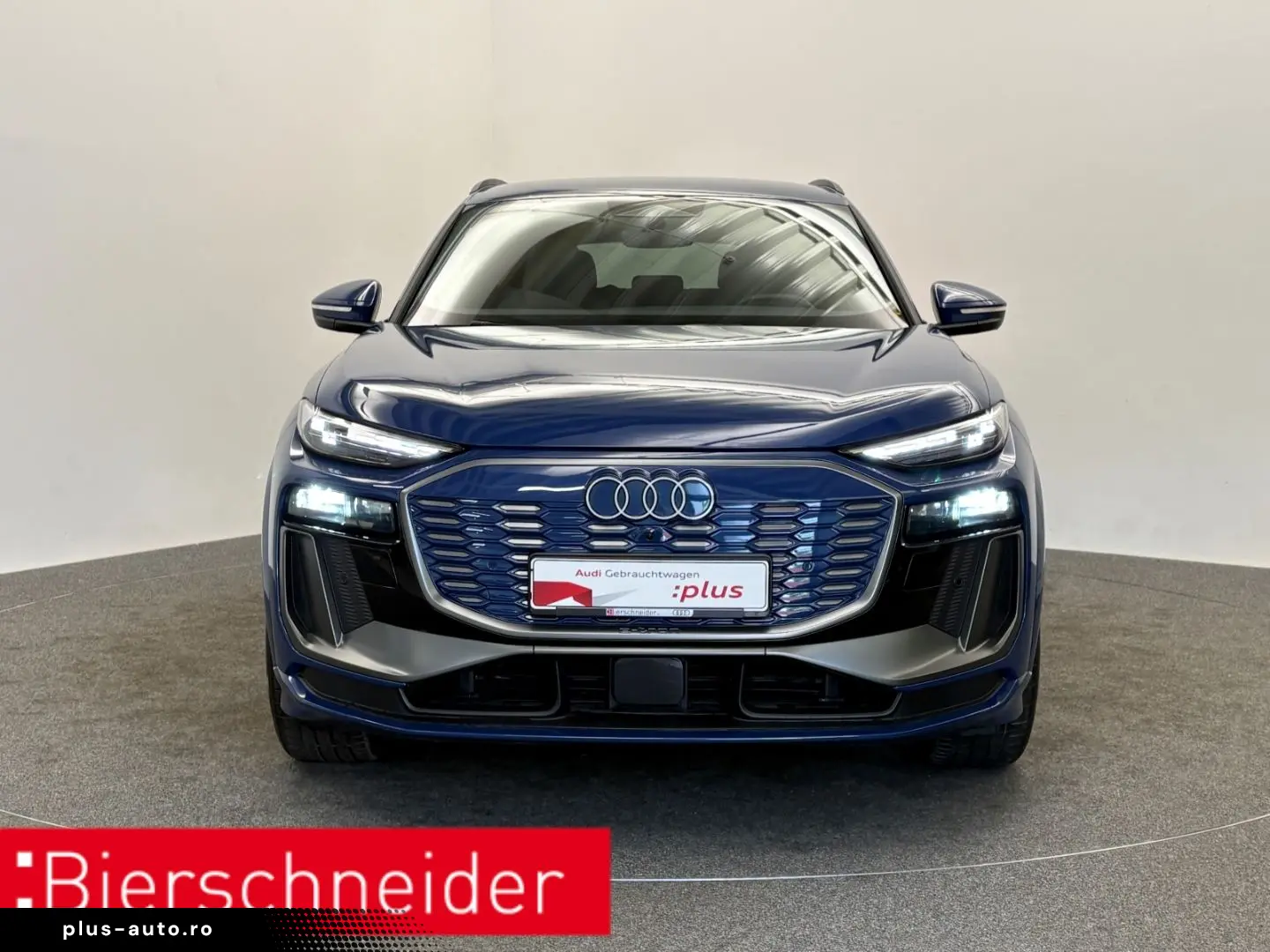 AUDI Q6 e-tron qu. S line MATRIX 20 UMGEBUNGSKAMERA S