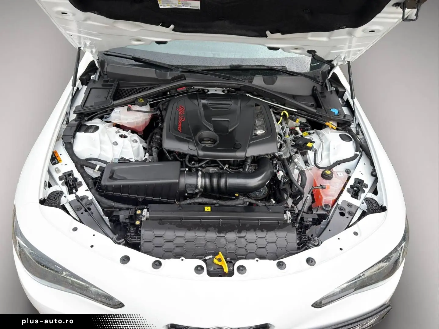 ALFA ROMEO Giulia MY23 Veloce 2.0 Turbo 16V 206kW AT