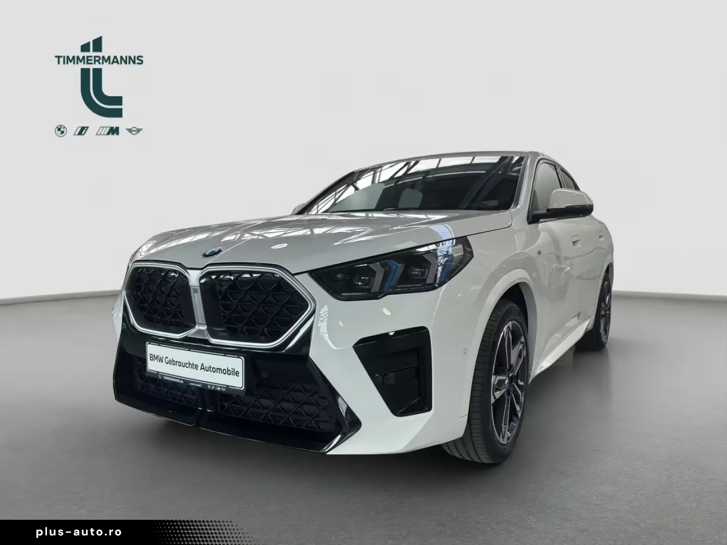 BMW X2 xDrive20d M Sport