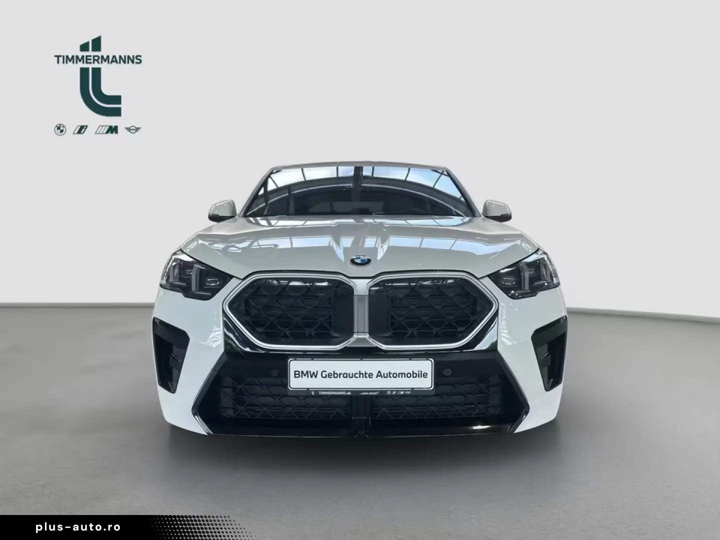BMW X2 xDrive20d M Sport
