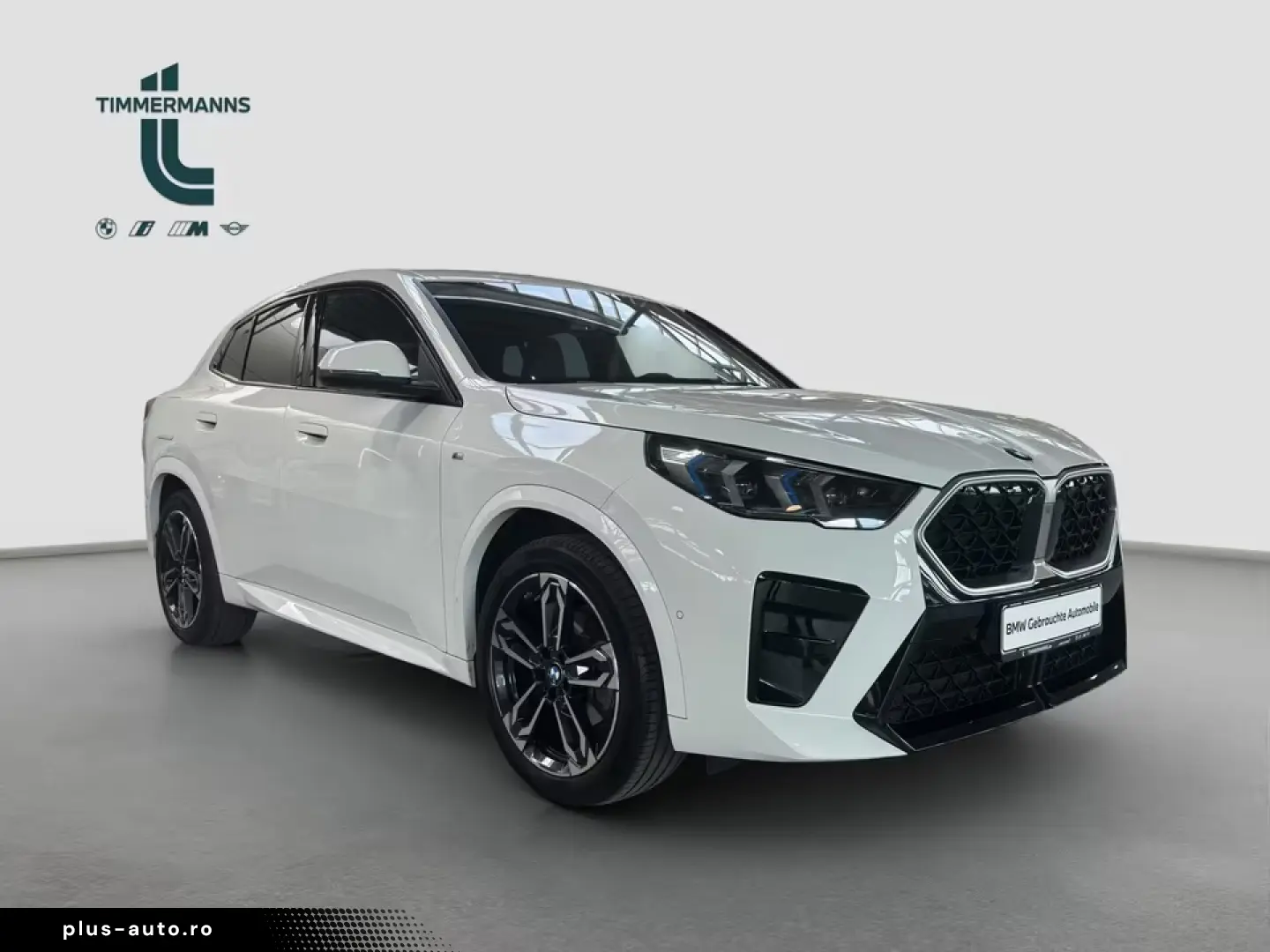 BMW X2 xDrive20d M Sport