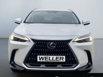 Lexus NX 350h Business Line  LED  Leder el. Sitze PDC