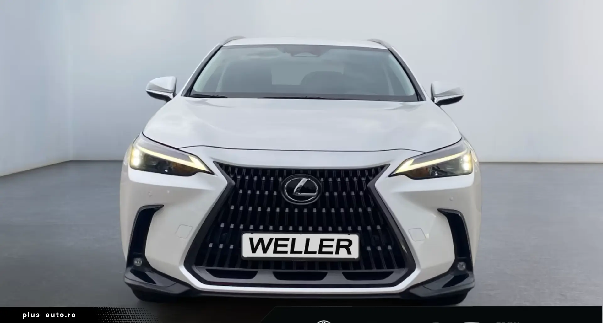 Lexus NX 350h Business Line  LED  Leder el. Sitze PDC
