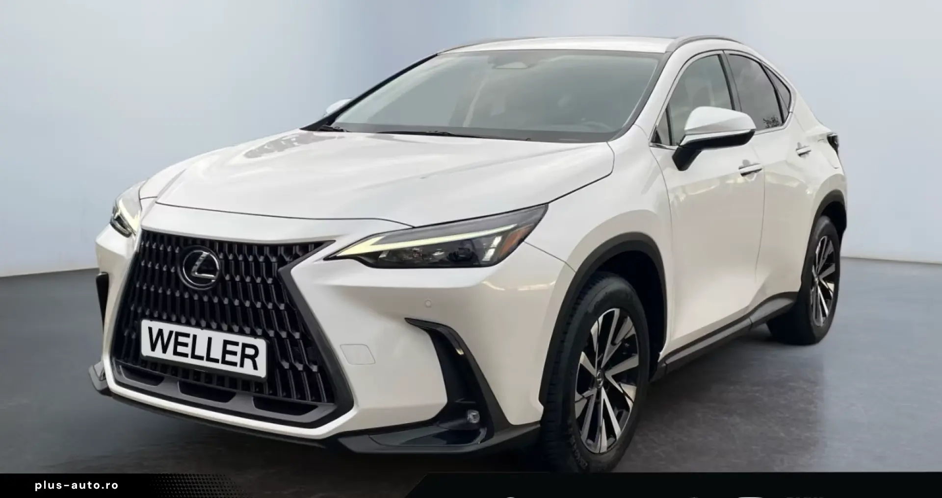 Lexus NX 350h Business Line  LED  Leder el. Sitze PDC