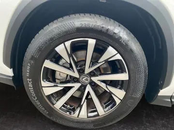 Lexus NX 350h Business Line  LED  Leder el. Sitze PDC