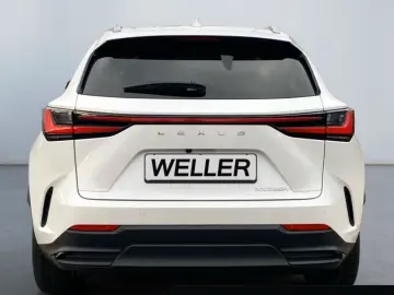 Lexus NX 350h Business Line  LED  Leder el. Sitze PDC