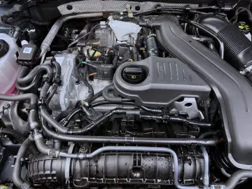 CUPRA Formentor 1.5 eTSI DSG NAVI 360  PDC LED SITZHZG