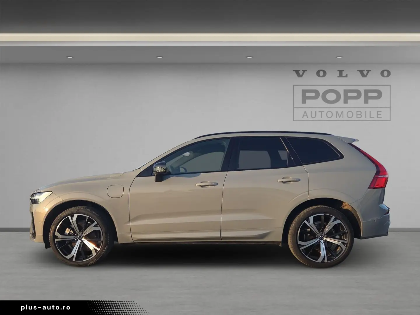 VOLVO XC60 T8 AWD Recharge Plus Dark 21  360  ACC FHZ