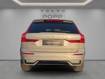 VOLVO XC60 T8 AWD Recharge Plus Dark 21  360  ACC FHZ