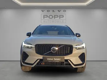 VOLVO XC60 T8 AWD Recharge Plus Dark 21  360  ACC FHZ