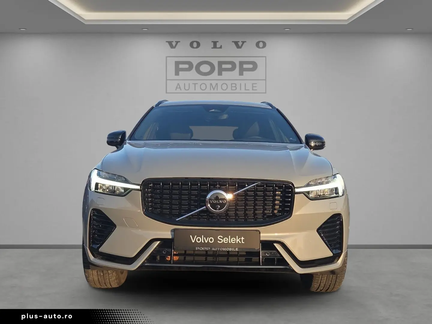 VOLVO XC60 T8 AWD Recharge Plus Dark 21  360  ACC FHZ